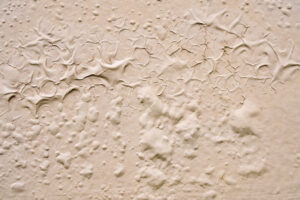 Summer Sun & Paint Damage: What to Watch for on Oregon Homes