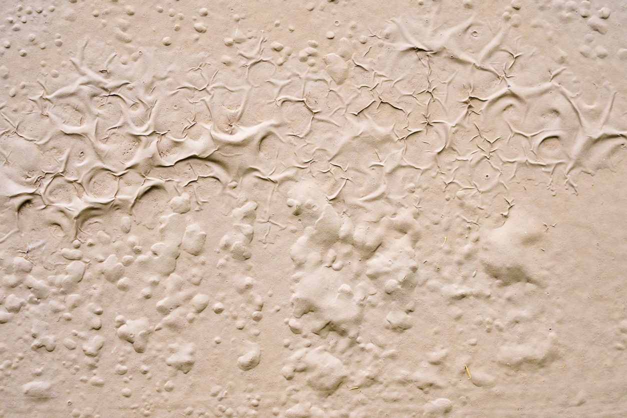 Summer Sun & Paint Damage: What to Watch for on Oregon Homes